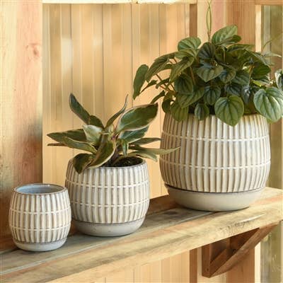 DecorRamos Linear Cachepot with Saucer, Stoneware - Dekor Butik