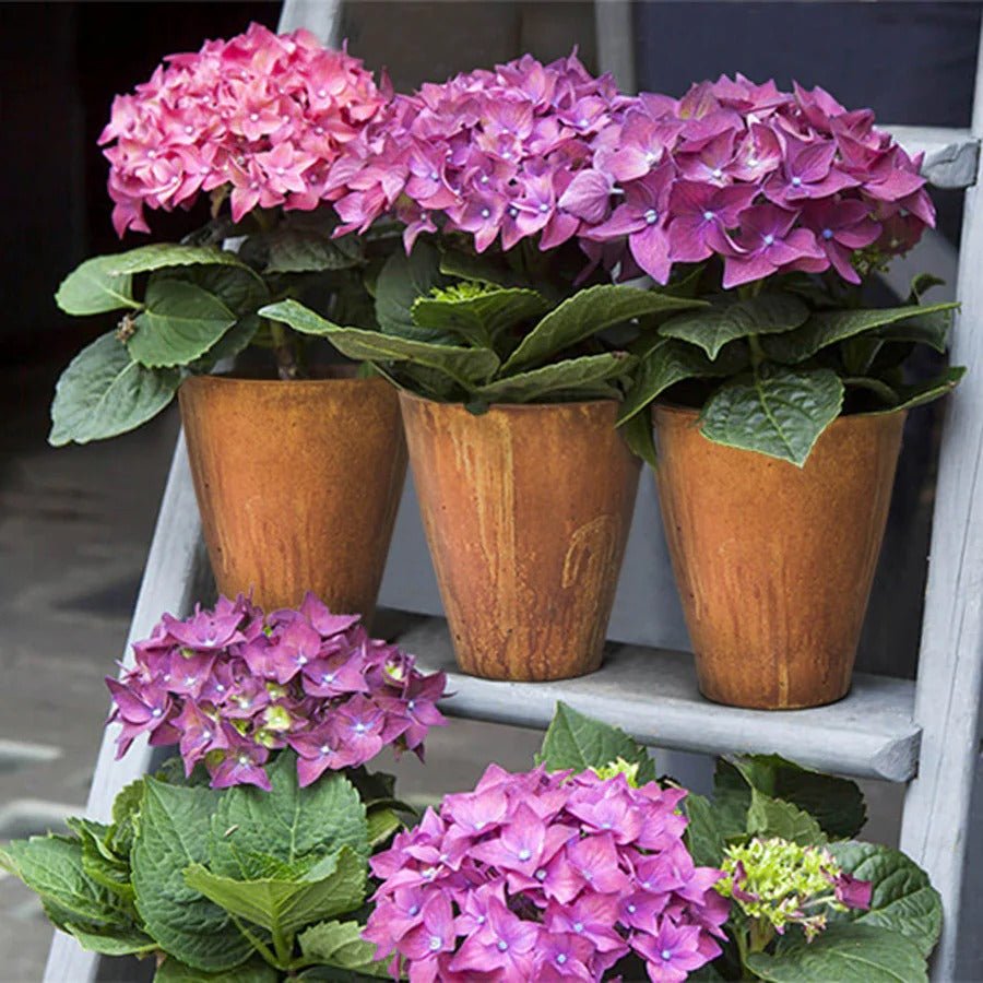 Rustic Medium Vase - Corten - Dekor Butik