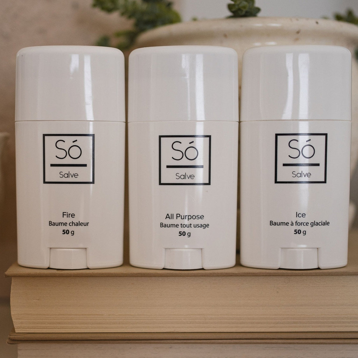 Salvesalve - Dekor Butik
