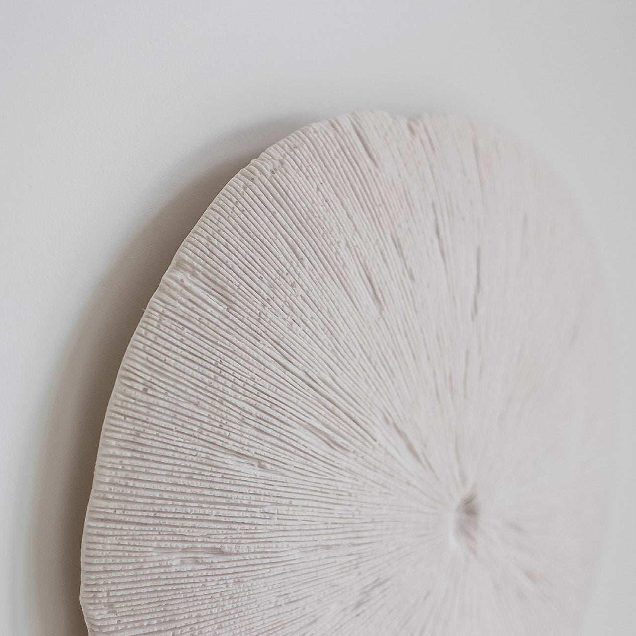 baseSand Dollar - L - Dekor Butik