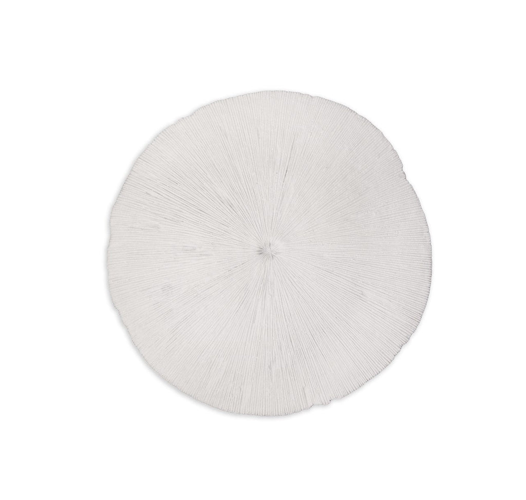 baseSand Dollar - M - Dekor Butik