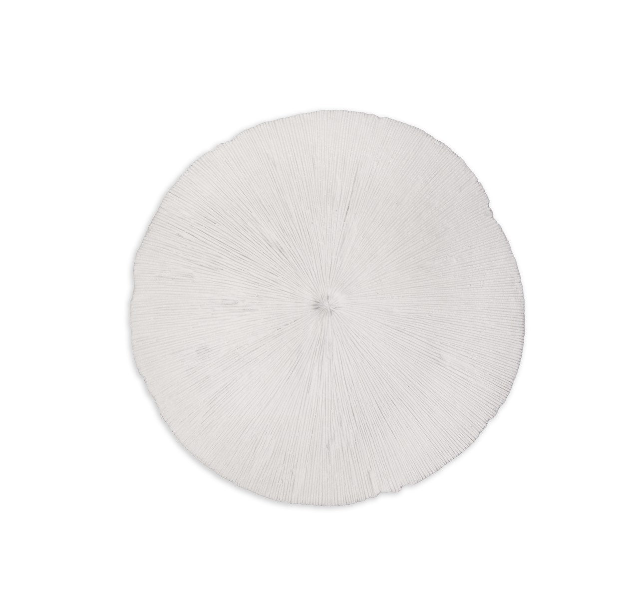 baseSand Dollar - M - Dekor Butik