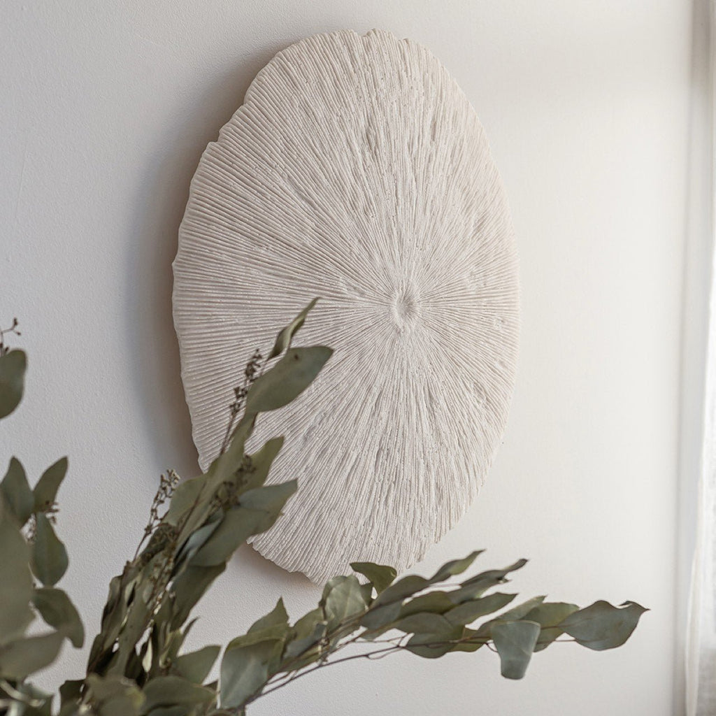 baseSand Dollar - M - Dekor Butik