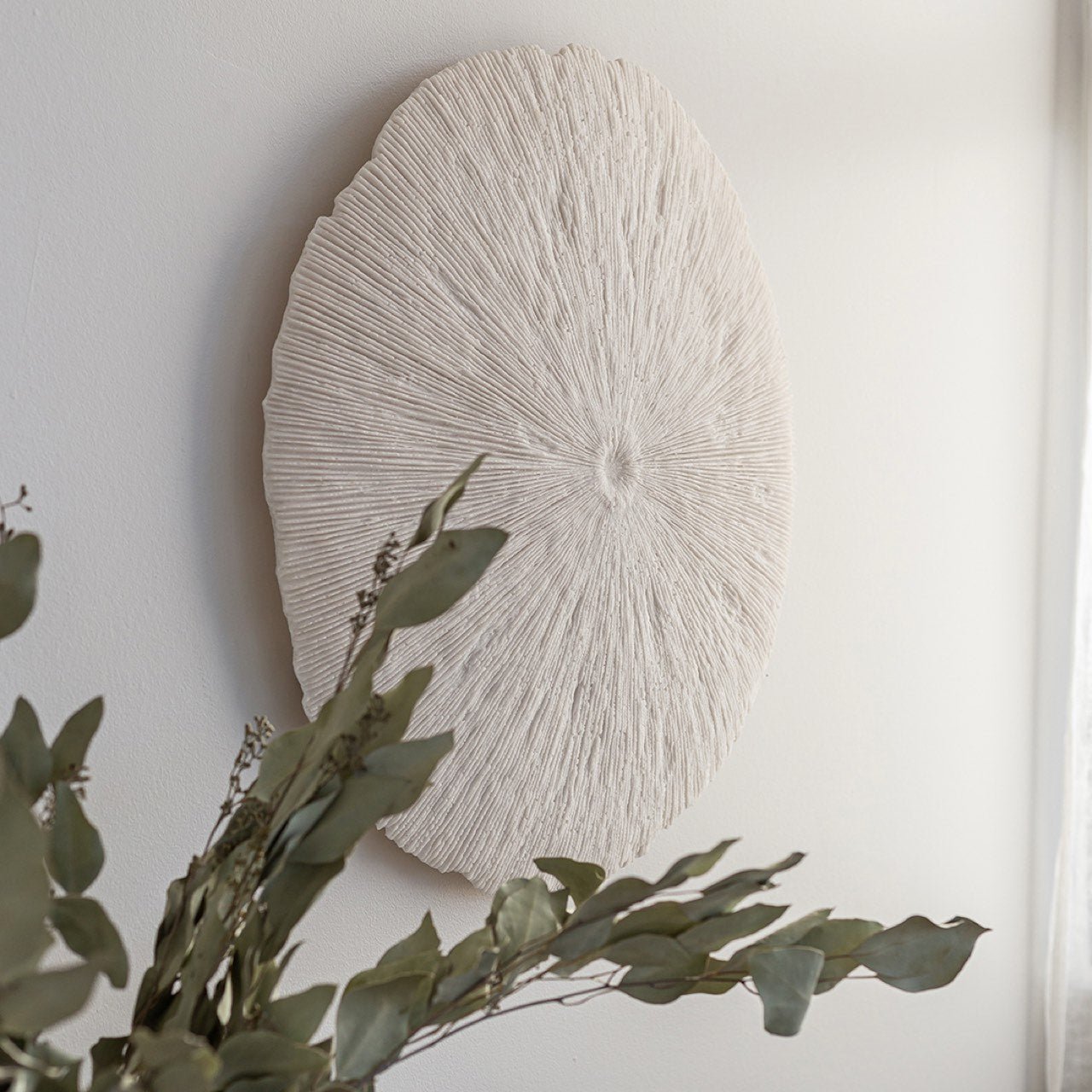 baseSand Dollar - M - Dekor Butik