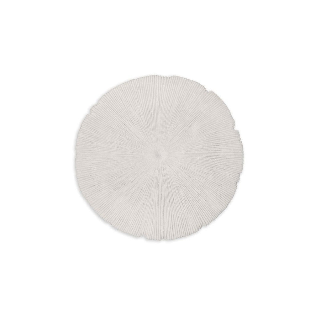 baseSand Dollar - S - Dekor Butik