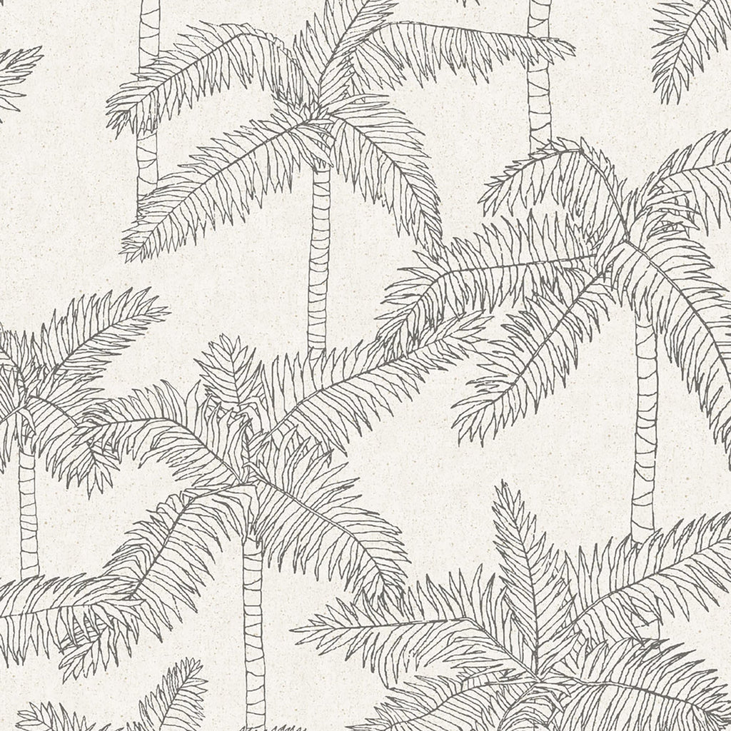 WallpaperSketched Palm Wallpaper - Dekor Butik