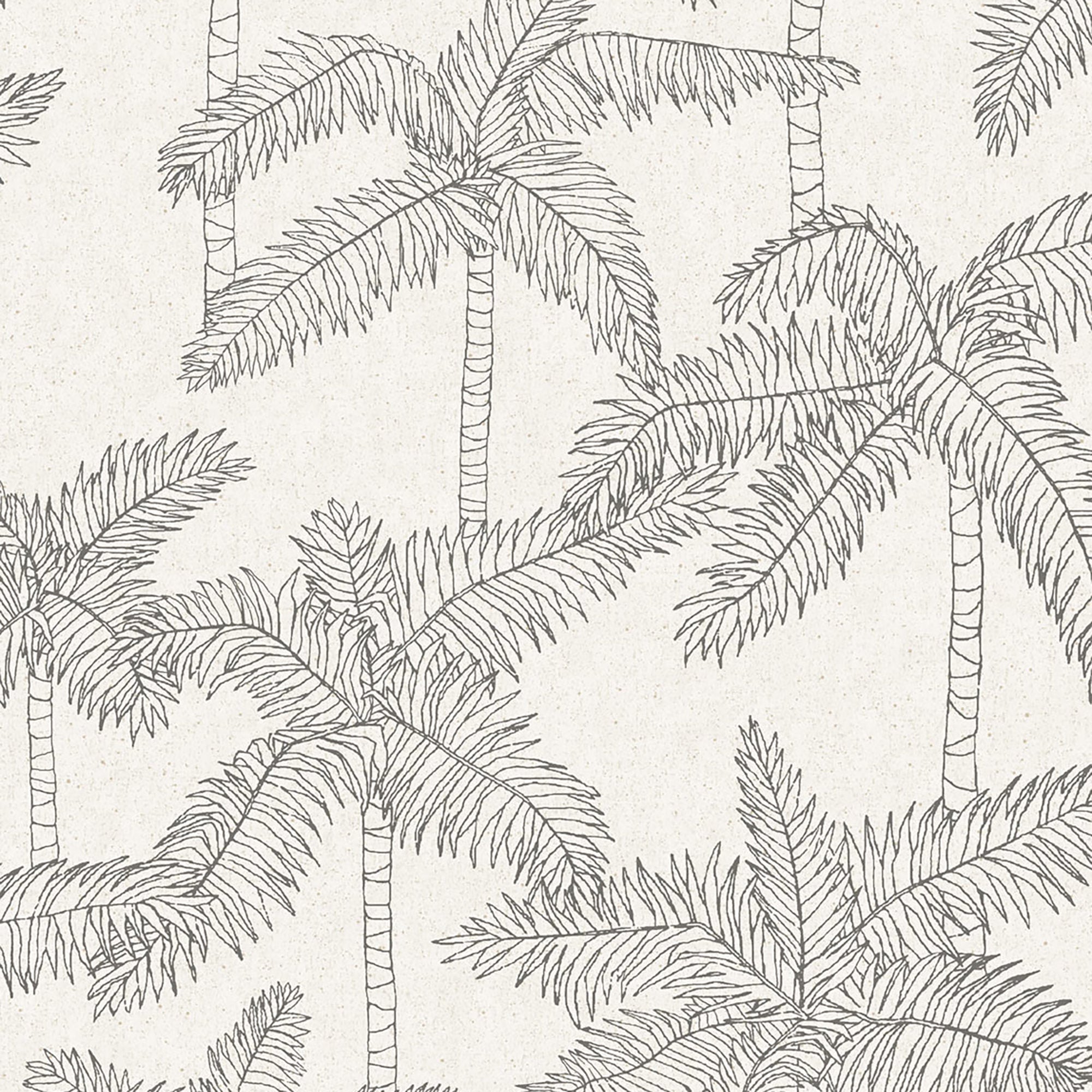 WallpaperSketched Palm Wallpaper - Dekor Butik