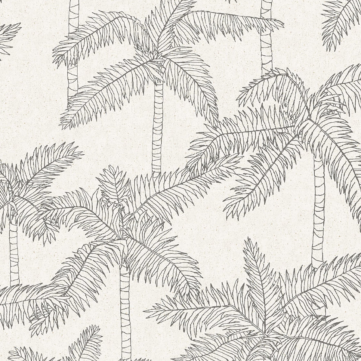 WallpaperSketched Palm Wallpaper - Dekor Butik