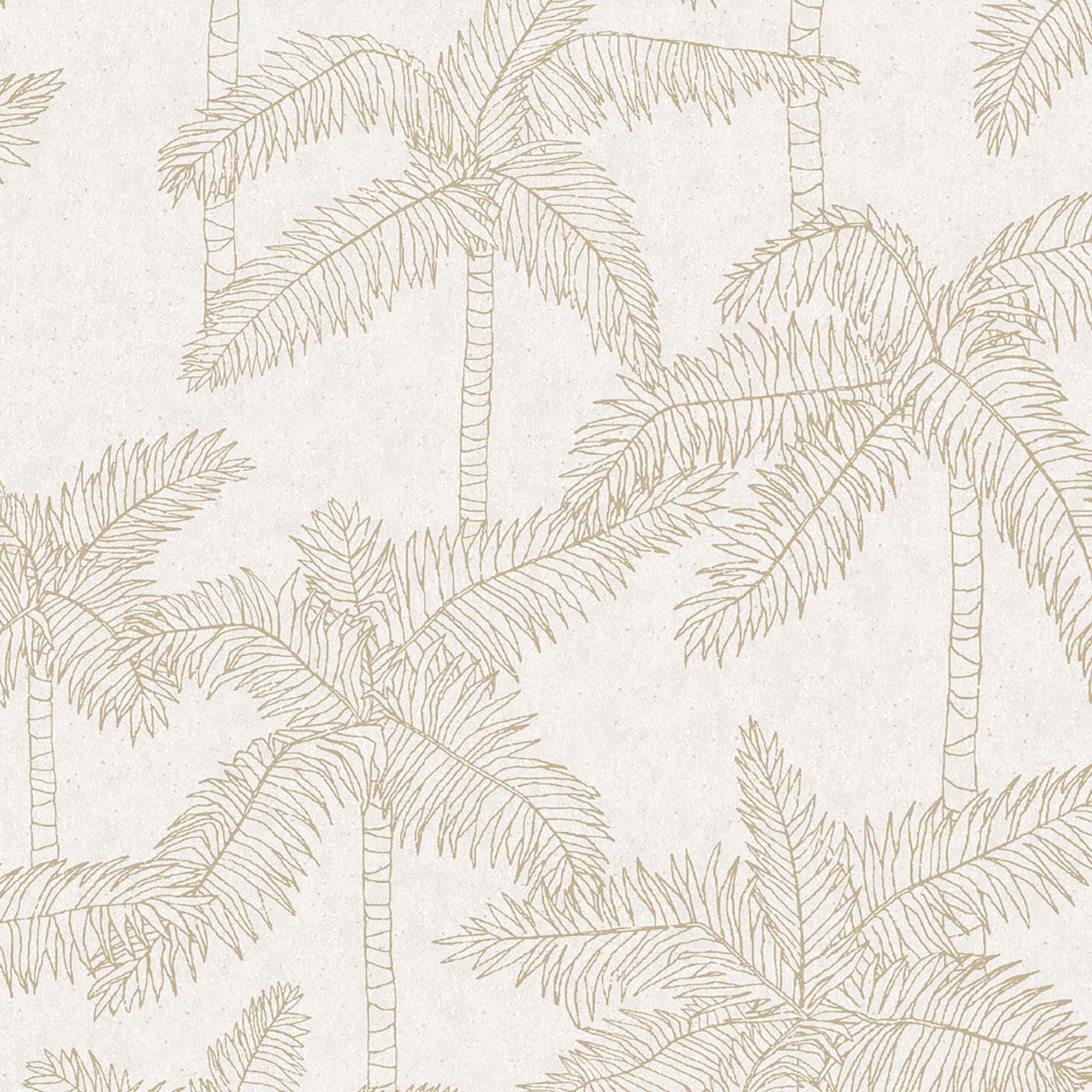 WallpaperSketched Palm Wallpaper - Dekor Butik