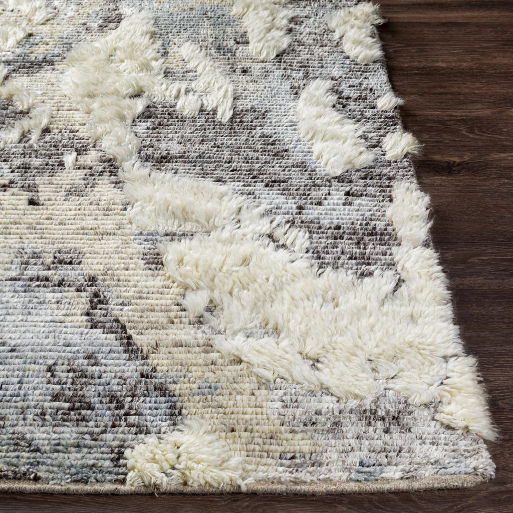 Area RugsSocrates Area Rug - 2301 - Dekor Butik