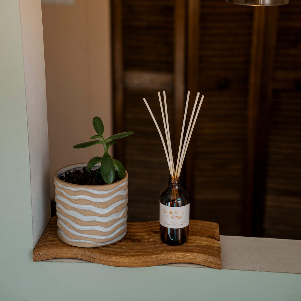 Reed DiffusersSunlit Peach + Mango Reed Diffuser - Dekor Butik