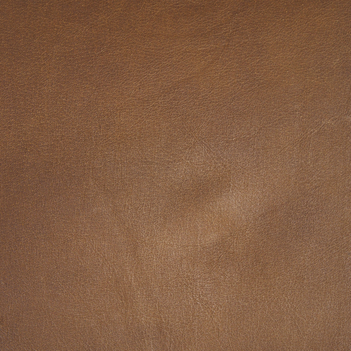 Taniel Wood/Leather Stool - 4 COLORS - Dekor Butik