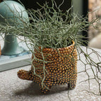 Vases & JarsTortoise Pot - Dekor Butik